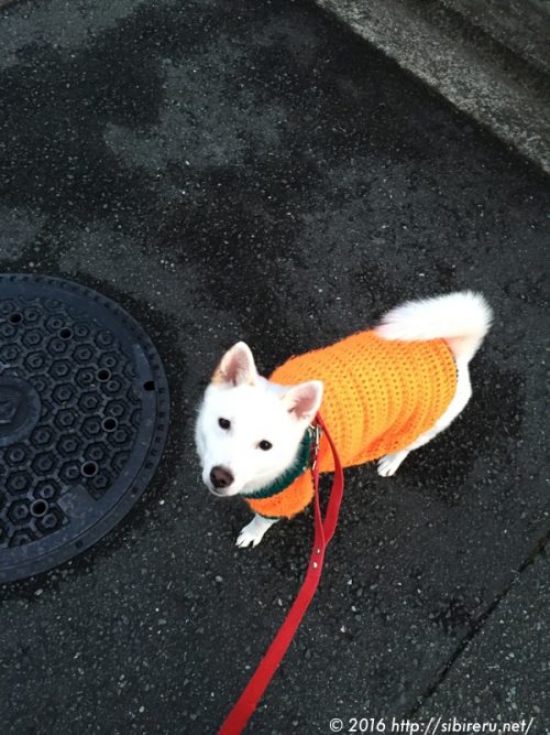 あかね